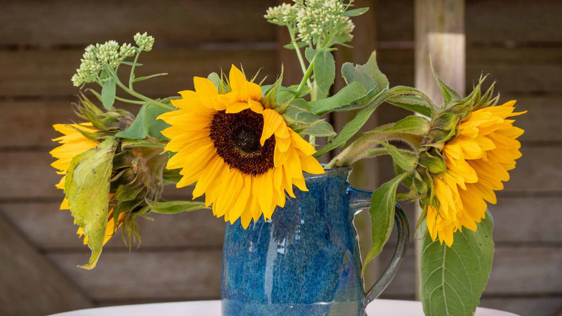 Useful-Tips-On-How-To-Keep-Sunflowers-Fresh-After-Cutting-On-DailyMirror